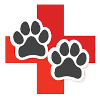 Dr PetMD