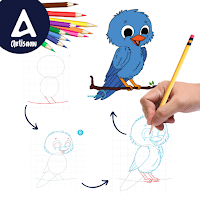 draw birds step by step