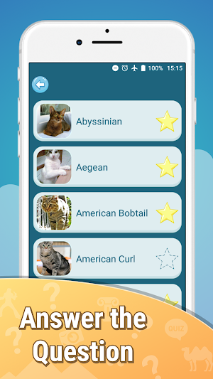 Cats quiz guess kittens cute games Screenshot 3