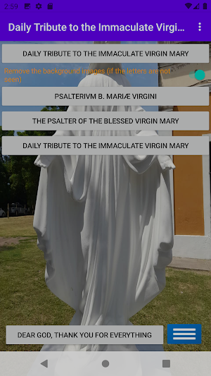 Virgin Mary's Daily Tribute Screenshot 0