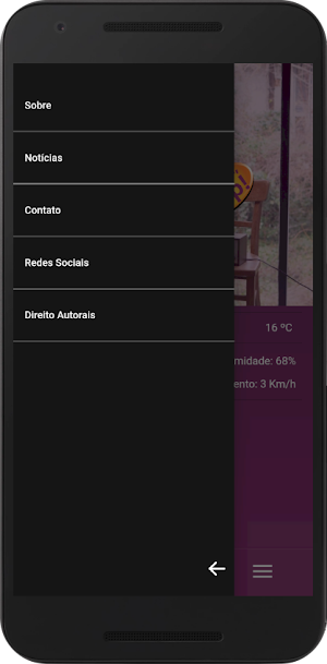 Rádio Top Seara FM Screenshot 2