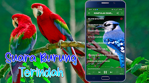 Kumpulan Suara Burung Terindah Screenshot 0