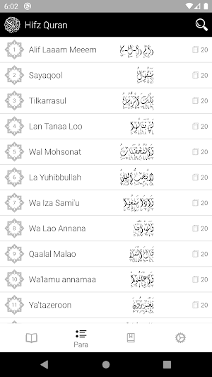15 Lines Hafizi Quran | Hifz | Audio | حافظ القرآن Screenshot 2