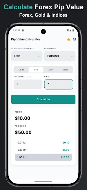 Forex Pip Value Calculator Screenshot 0
