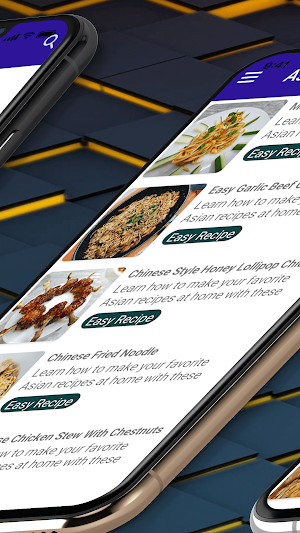 Asian Recipes Offline Screenshot 2