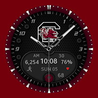 S. Carolina Premium Watchface