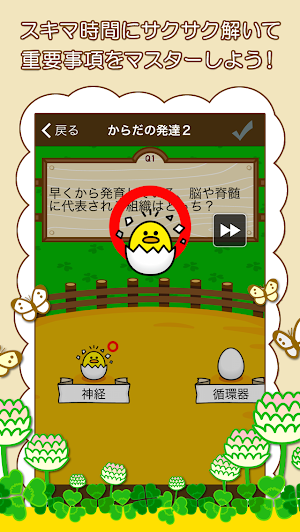 中学生の実技4科（保健体育、技術家庭、美術、音楽） Screenshot 1
