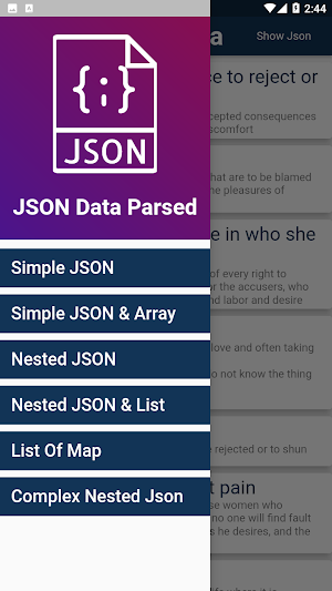 Json Data Parsing Screenshot 1