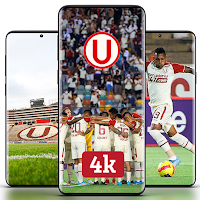 Universitario Wallpaper 4K