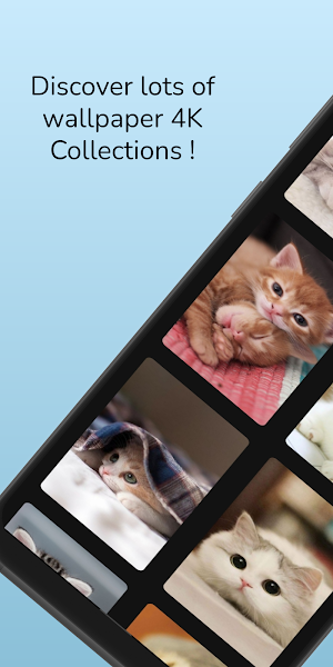 Aesthetic Cute Kitten Wallpaper 4K Screenshot 0