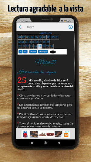 Biblia PDT con Audio Screenshot 3