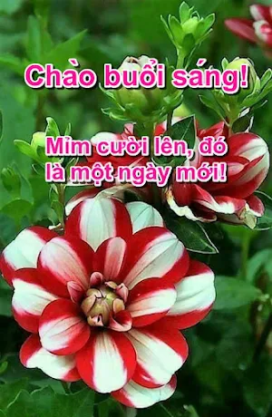 Chào buổi sáng! Screenshot 2