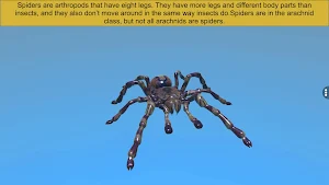 Diversity in Living:Arthropoda Screenshot 2