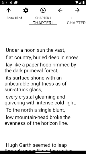 Book, Snow-Blind Screenshot 1