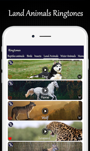 Animals and Birds Ring Tones Screenshot 3