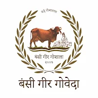 Bansi Gir Gauveda