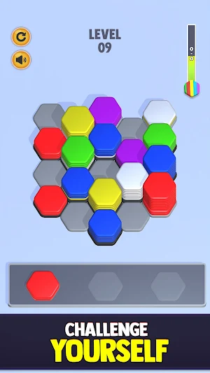 Hexa Color Sort Blocks Puzzle Screenshot 3