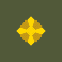 Ukraine military ranks - quiz