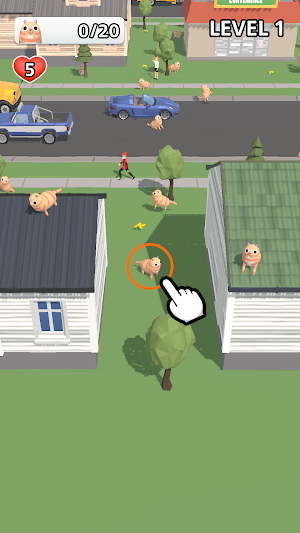 Peek a Paw Screenshot 0