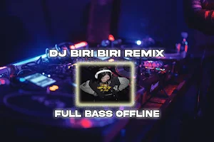 DJ Biri Biri Viral Offline Screenshot 0