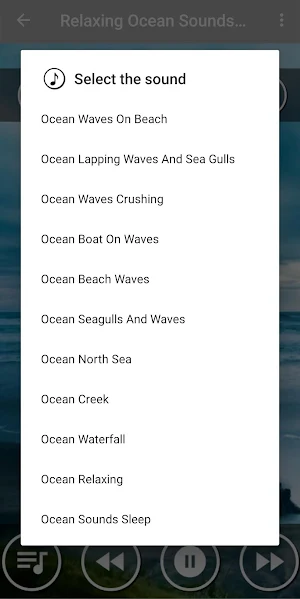 Ocean Sounds : Deep Sleep Music Screenshot 1