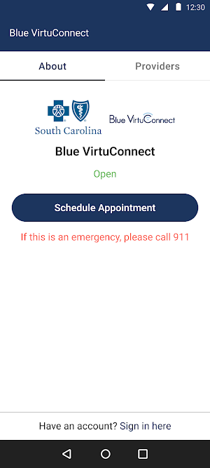 Blue VirtuConnect Screenshot 0