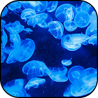 Blue and backgrounds wallpaper