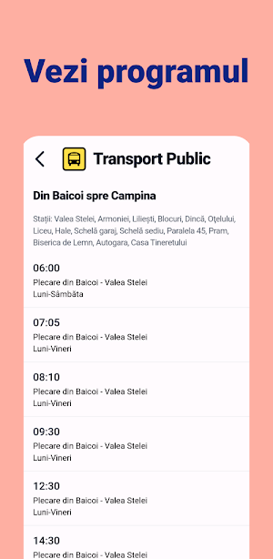 Transport Public Baicoi Screenshot 1