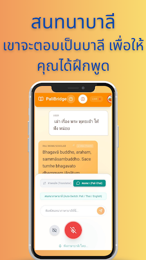 PaliBridge Screenshot 3