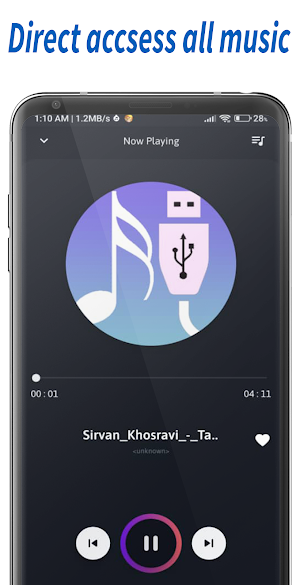 USB music Audio Player Screenshot 1