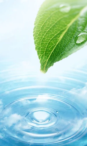 Daily Water Record Screenshot 3