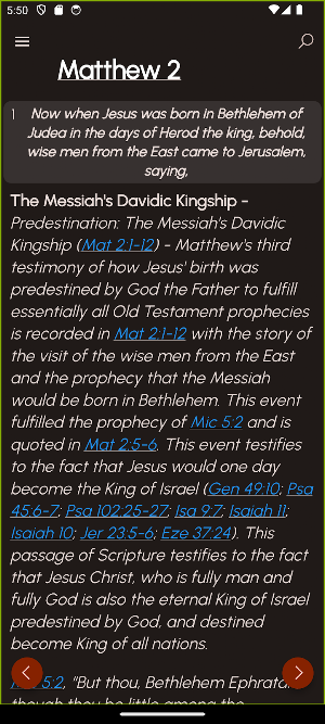 Notes on Holy Scriptures Screenshot 1