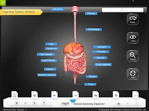 HumanAnatomy-Digestive Screenshot 1