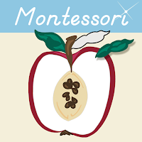 Montessori Botany - Parts of F