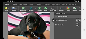 PhotoPad, editor de fotografías Screenshot 0