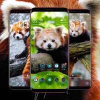 Red Panda Wallpaper