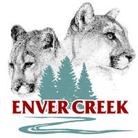 Enver Creek 2 Go