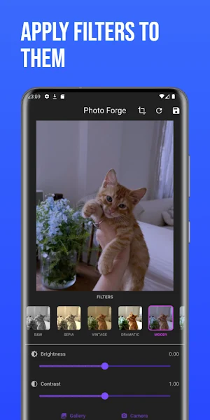 PhotoForge Screenshot 1