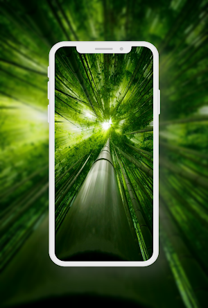 Green Wallpaper Screenshot 2