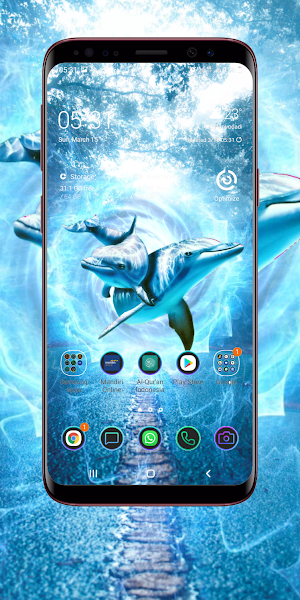 Dolphin Wallpaper Screenshot 2