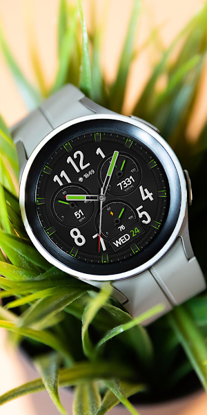 Hybrid MASTERY Watch face Screenshot 1