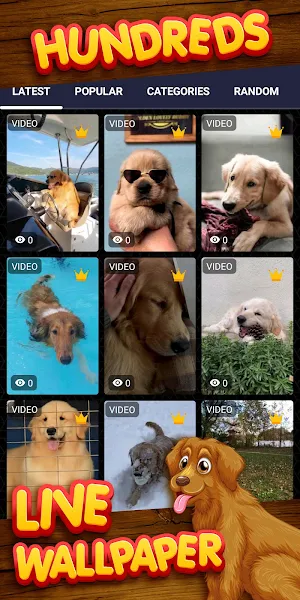 golden retriever wallpaper Screenshot 2