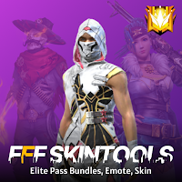 Blush - FFF FF SKIN TOOL