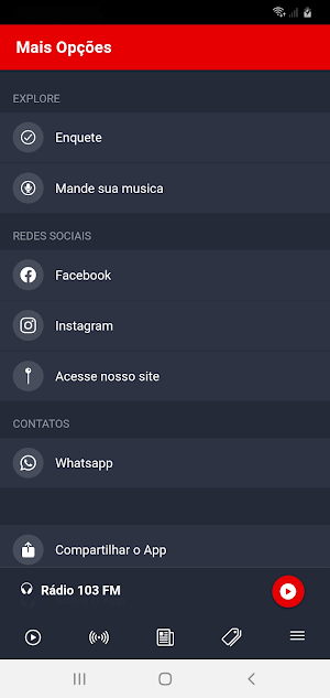 Rádio 103 FM Luziânia Screenshot 1