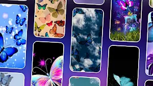 Colorful Butterfly Wallpaper Screenshot 0