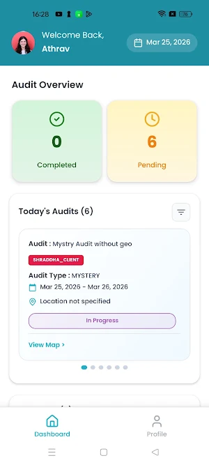 Protiviti Audit Screenshot 0
