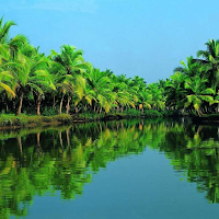 Koyilandy Go