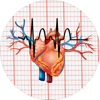 ECG Master Electrocardiogram