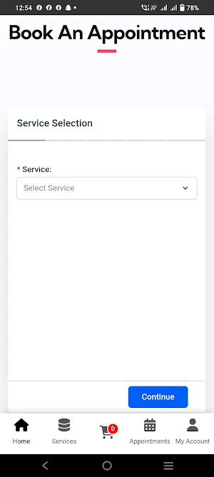 ZAS Consulting Services Screenshot 2