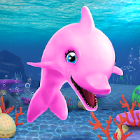 My Dolphin Show